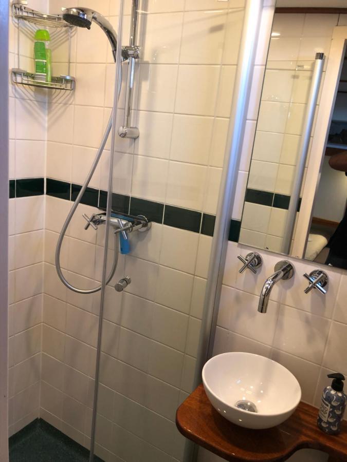 אמסטרדם Hotelboot Zwaan מראה חיצוני תמונה